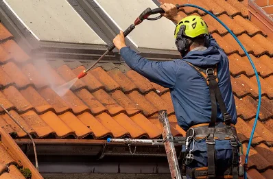 Démoussage et hydrofuge de toiture à Pleure